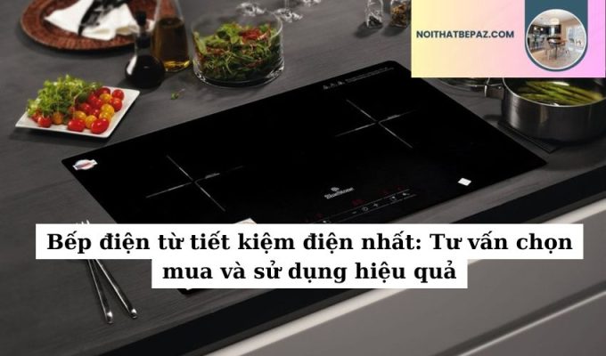 Bếp điện từ tiết kiệm điện nhất: Tư vấn chọn mua và sử dụng hiệu quả